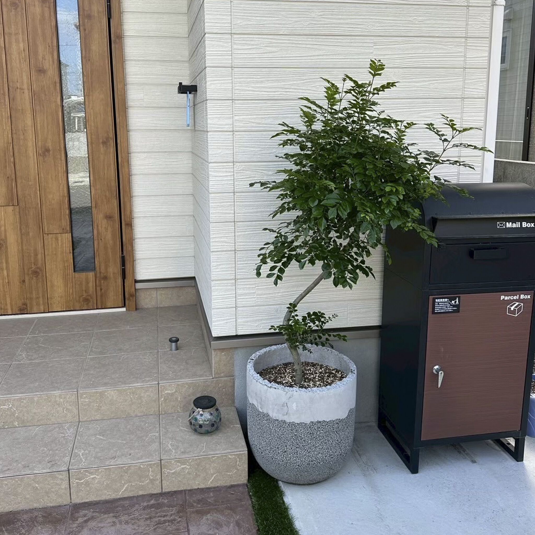 玄関先の鉢植え植栽